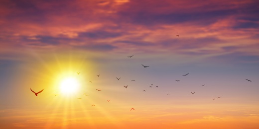 Thérapies énergétiques et manuelles - Chastre, dans les environs de Chaumont-Gistoux, Court-st-Etienne, Mont-st-Guibert, Ottignies-LLN, Villers-la-Ville, Walhain, Wavre, Gembloux, Perwez, Sombreffe