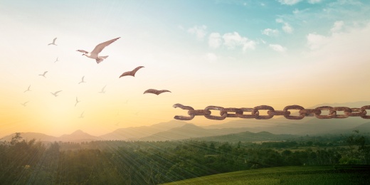 Thérapies psychologiques et psychocorporelles - Chastre, dans les environs de Chaumont-Gistoux, Court-st-Etienne, Mont-st-Guibert, Ottignies-LLN, Villers-la-Ville, Walhain, Wavre, Gembloux, Perwez, Sombreffe