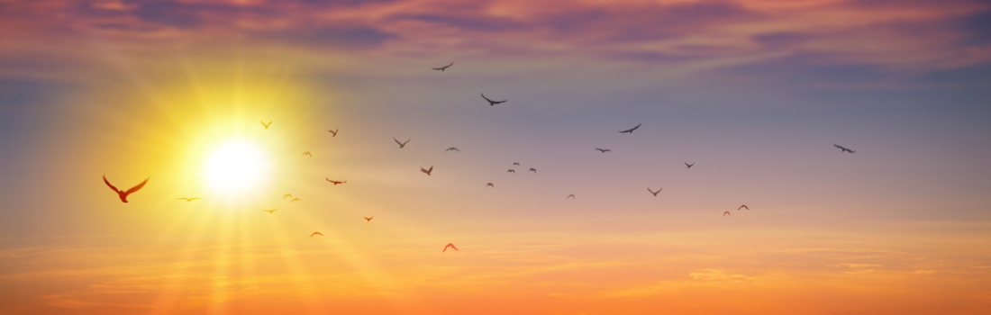 Thérapies énergétiques et manuelles - Chastre, dans les environs de Chaumont-Gistoux, Court-st-Etienne, Mont-st-Guibert, Ottignies-LLN, Villers-la-Ville, Walhain, Wavre, Gembloux, Perwez, Sombreffe