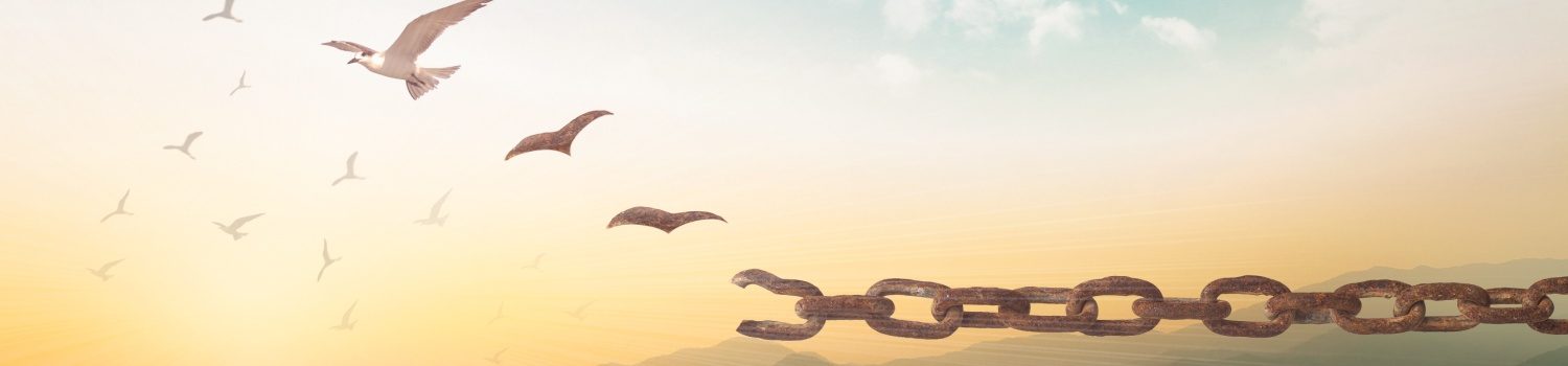 Thérapies psychologiques et psychocorporelles - Belgique