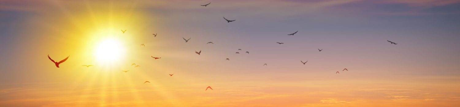 Thérapies énergétiques et manuelles – Consultations